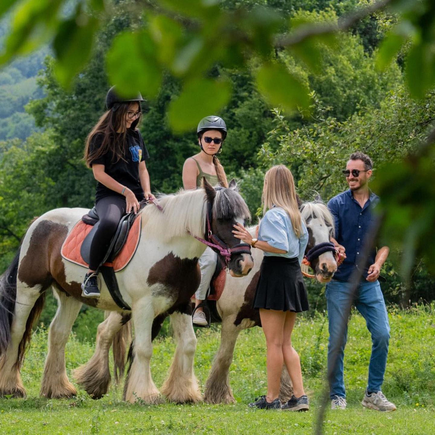 Echitație Vâlcea — plimbări călare la Ecvestria Ranch, foto 2