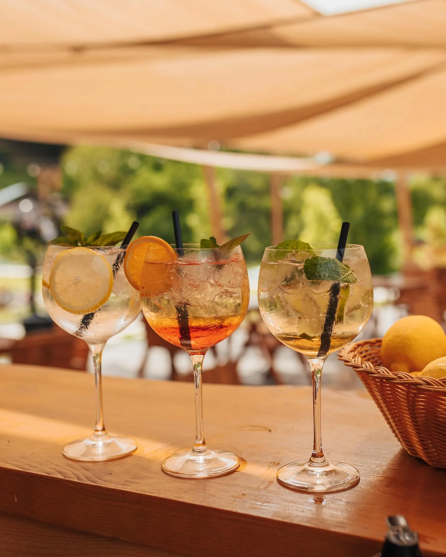Restaurant Vâlcea — Ecvestria Ranch, foto 4