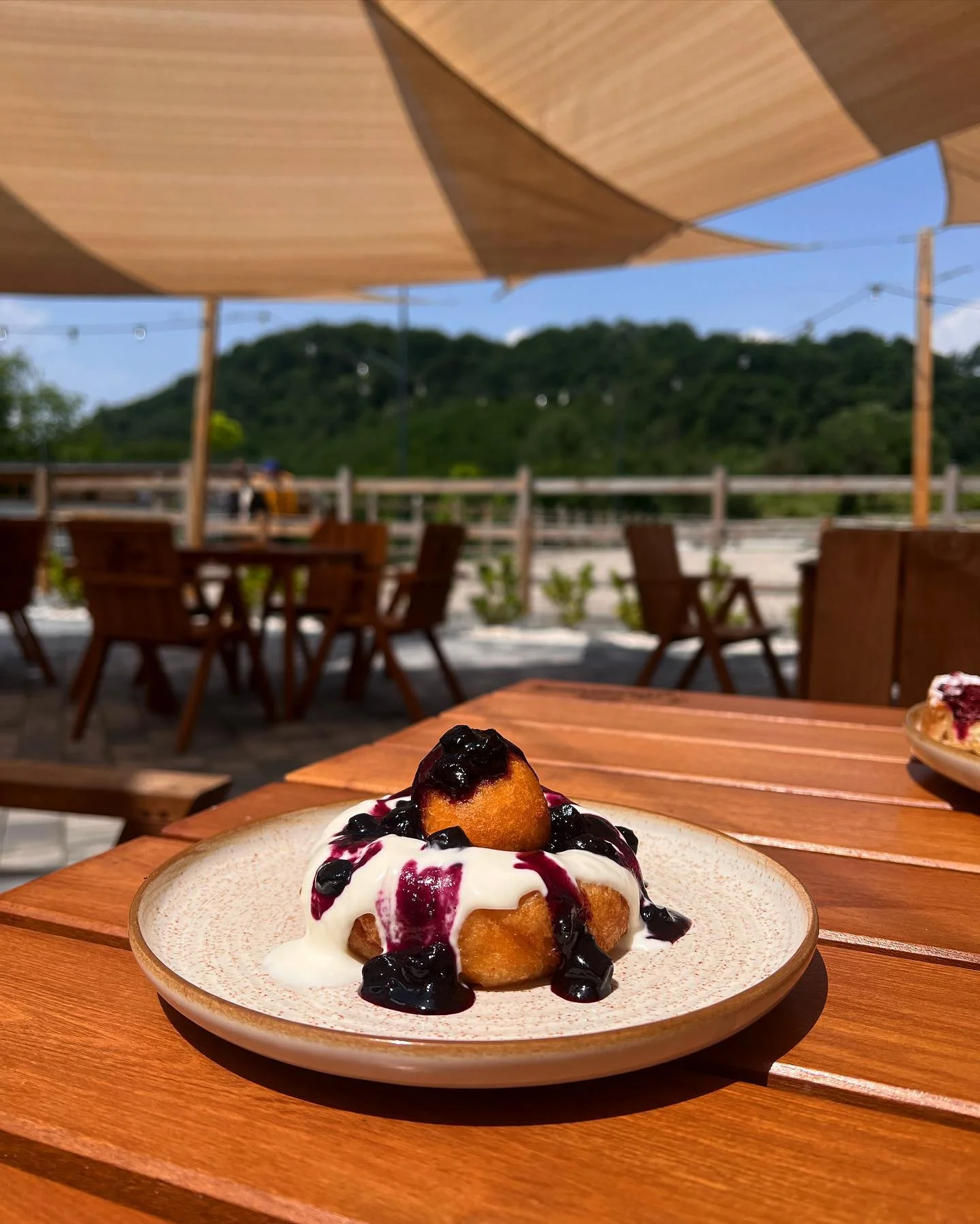 Restaurant Vâlcea — Ecvestria Ranch, foto 6